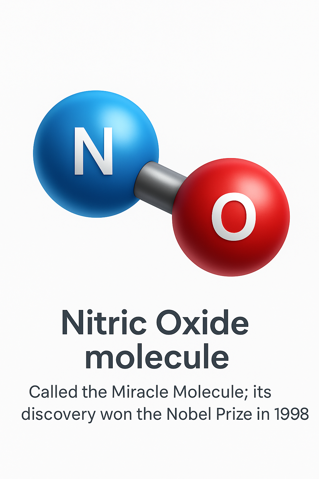 Nitric oxide molecule (N-O), called the Miracle Molecule; its discovery won the Nobel Prize in 1998.